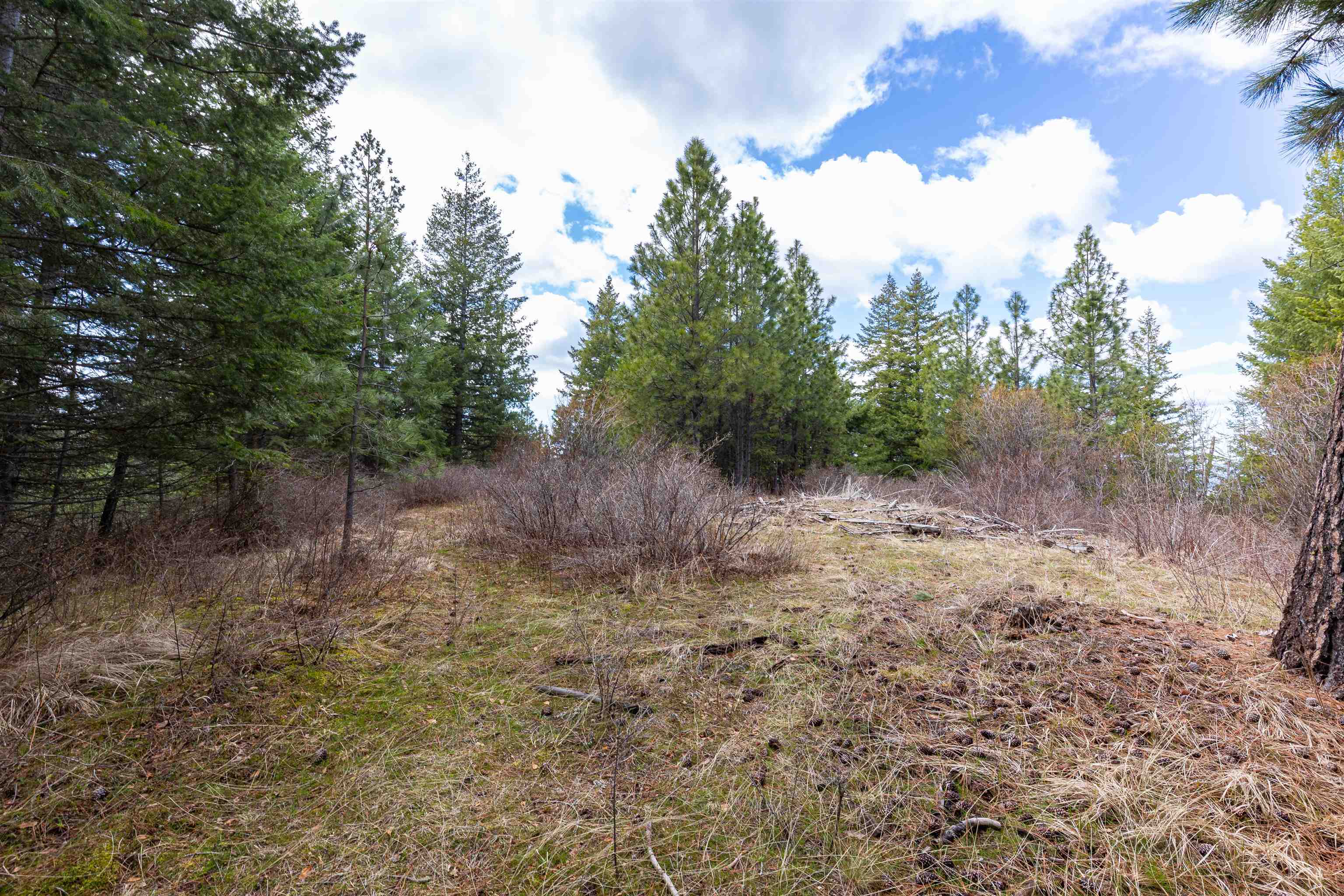 31-xxx North Jackson Road Chattaroy, WA 99003 - Photo 16 of 32