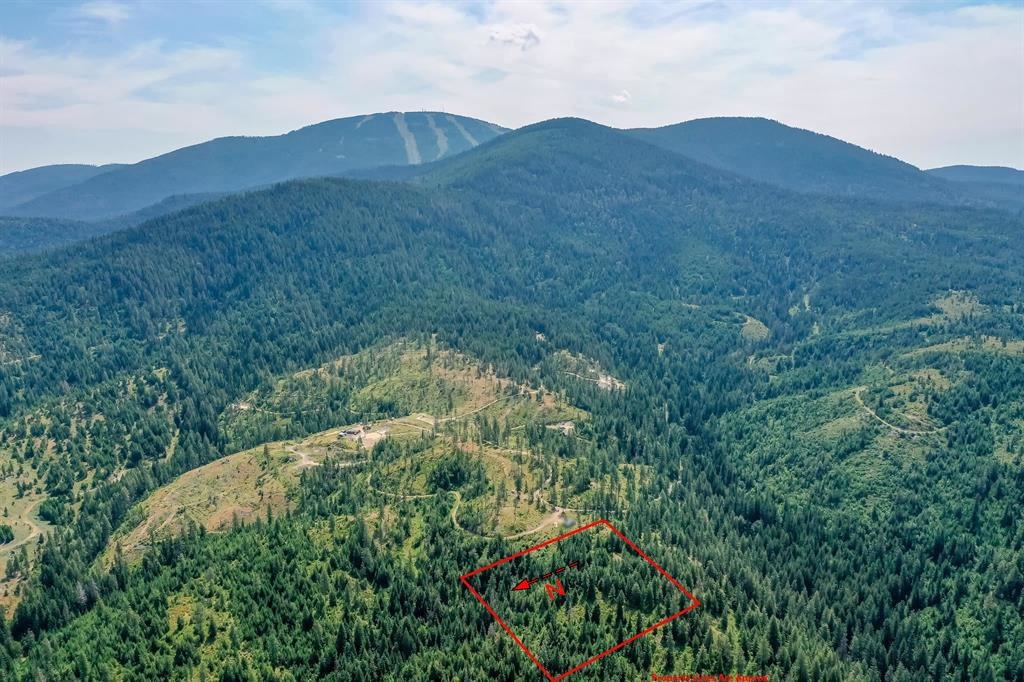 31-xxx North Jackson Road Chattaroy, WA 99003 - Photo 17 of 32