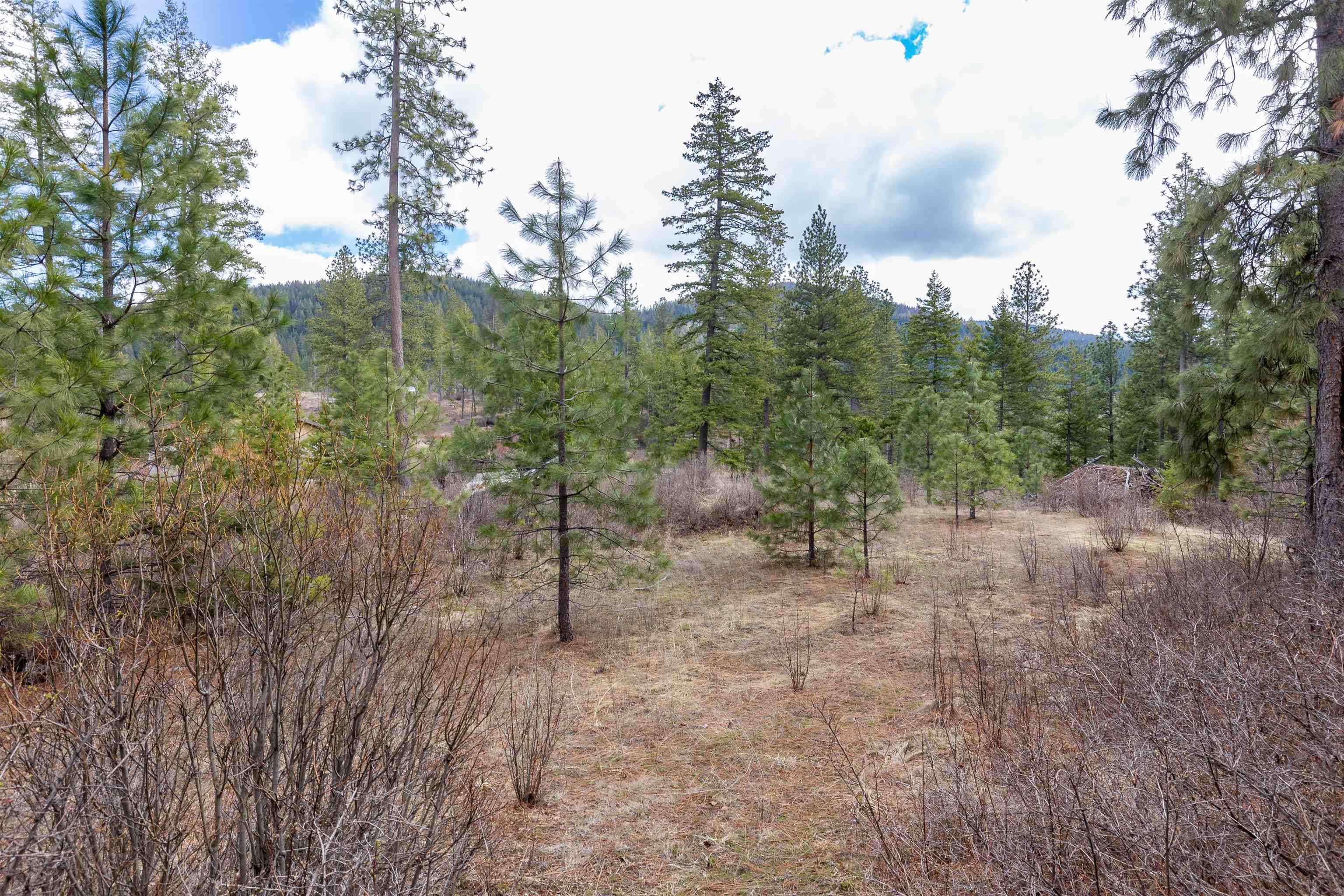 31-xxx North Jackson Road Chattaroy, WA 99003 - Photo 19 of 32