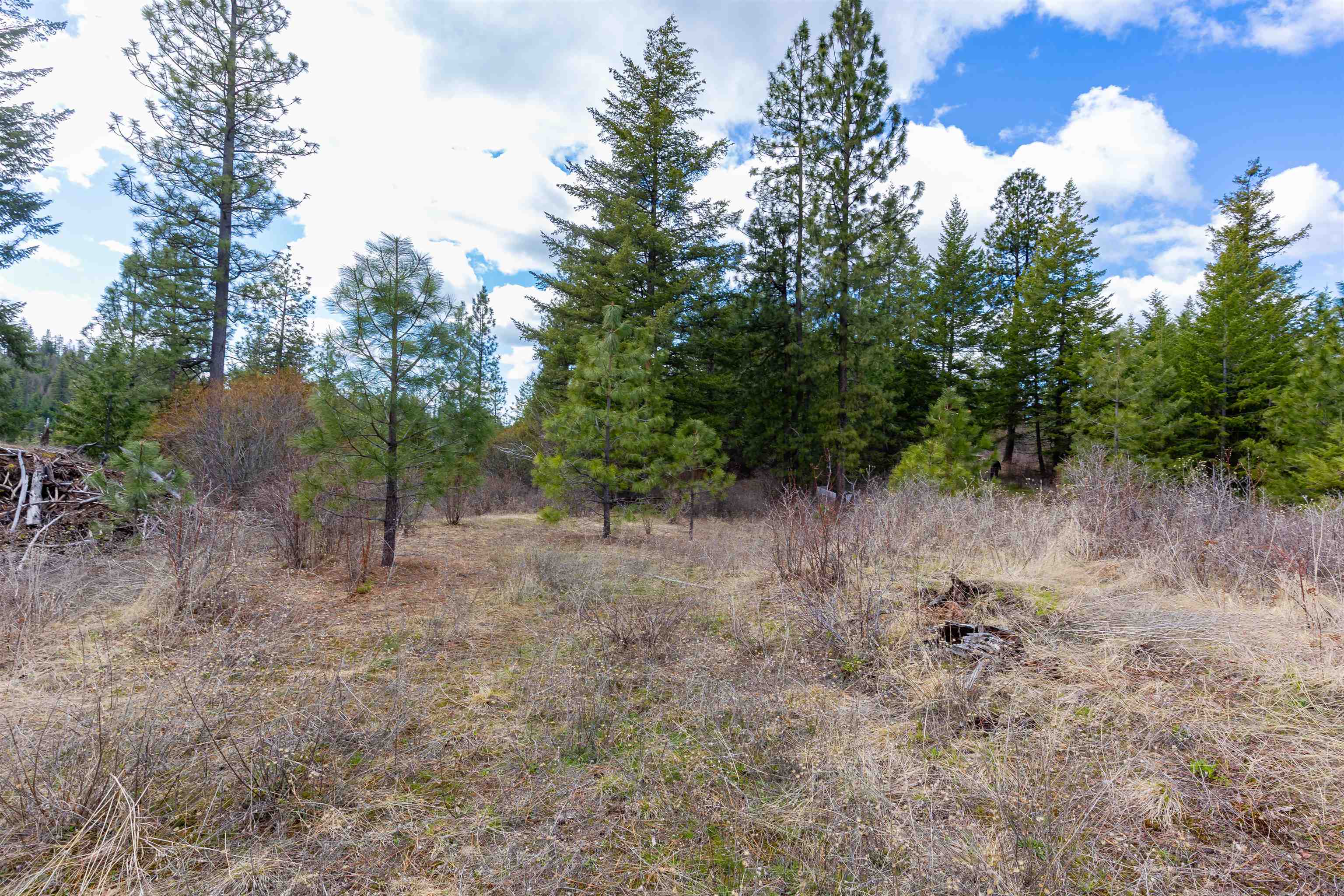 31-xxx North Jackson Road Chattaroy, WA 99003 - Photo 21 of 32