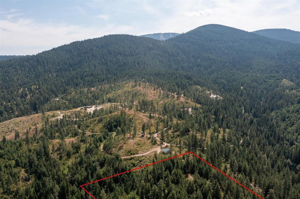 31-xxx North Jackson Road Chattaroy, WA 99003 - Photo 23 of 32