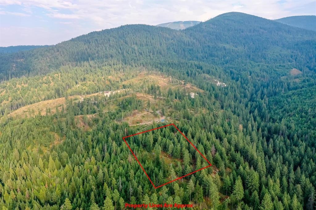 31-xxx North Jackson Road Chattaroy, WA 99003 - Photo 24 of 32