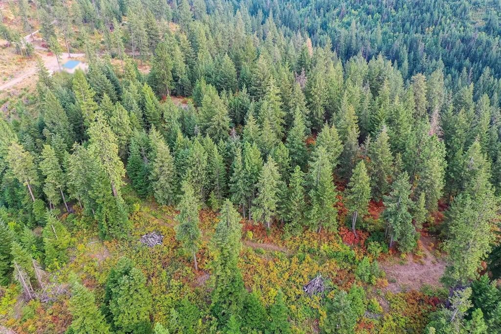 31-xxx North Jackson Road Chattaroy, WA 99003 - Photo 26 of 32