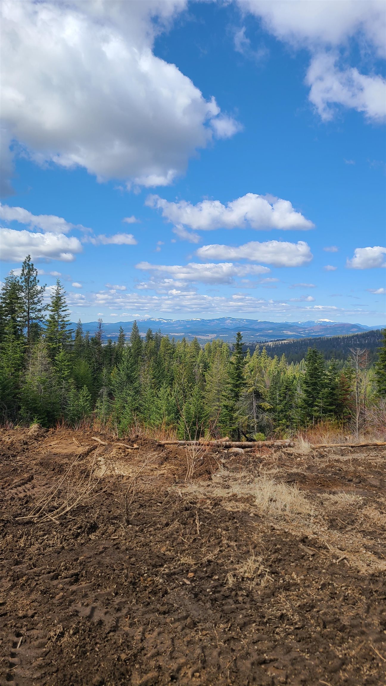 31-xxx North Jackson Road Chattaroy, WA 99003 - Photo 28 of 32