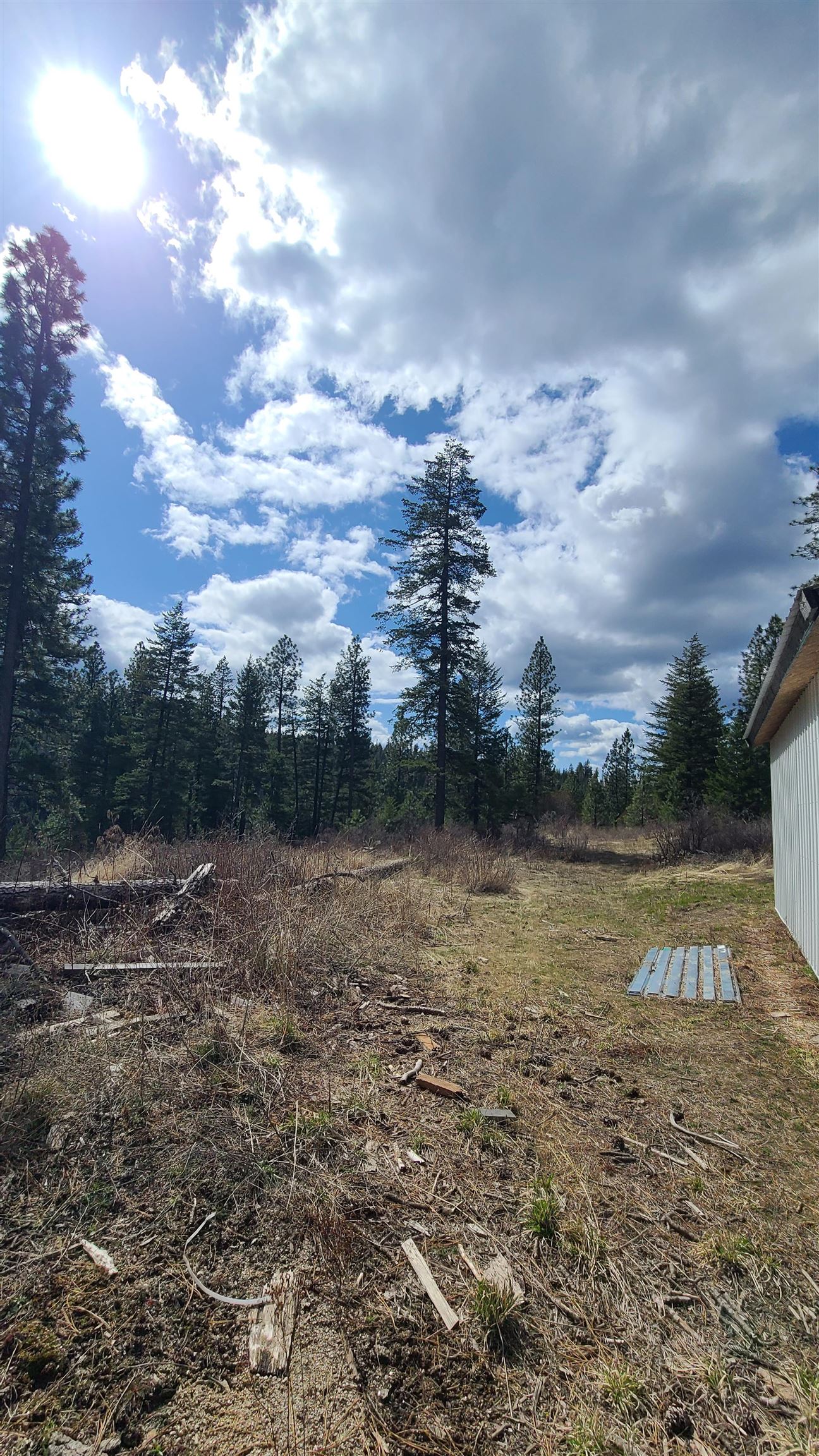 31-xxx North Jackson Road Chattaroy, WA 99003 - Photo 30 of 32