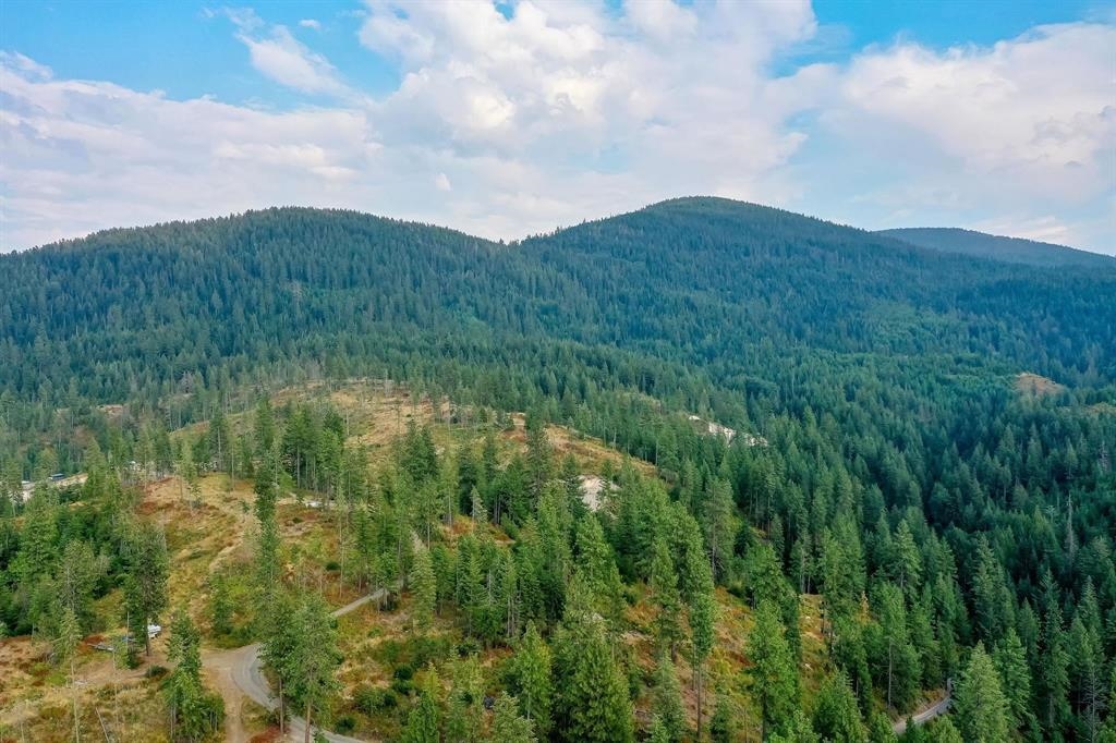 31-xxx North Jackson Road Chattaroy, WA 99003 - Photo 3 of 32