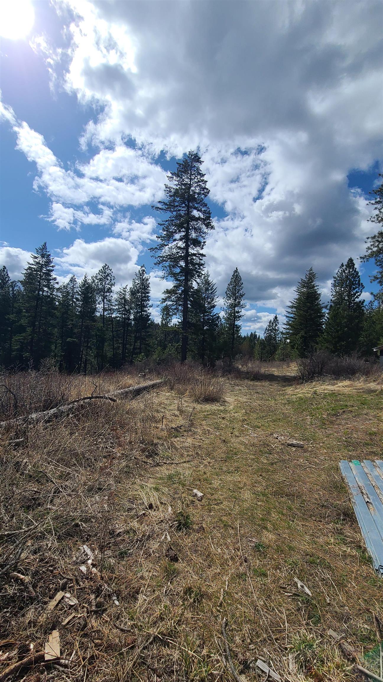 31-xxx North Jackson Road Chattaroy, WA 99003 - Photo 31 of 32