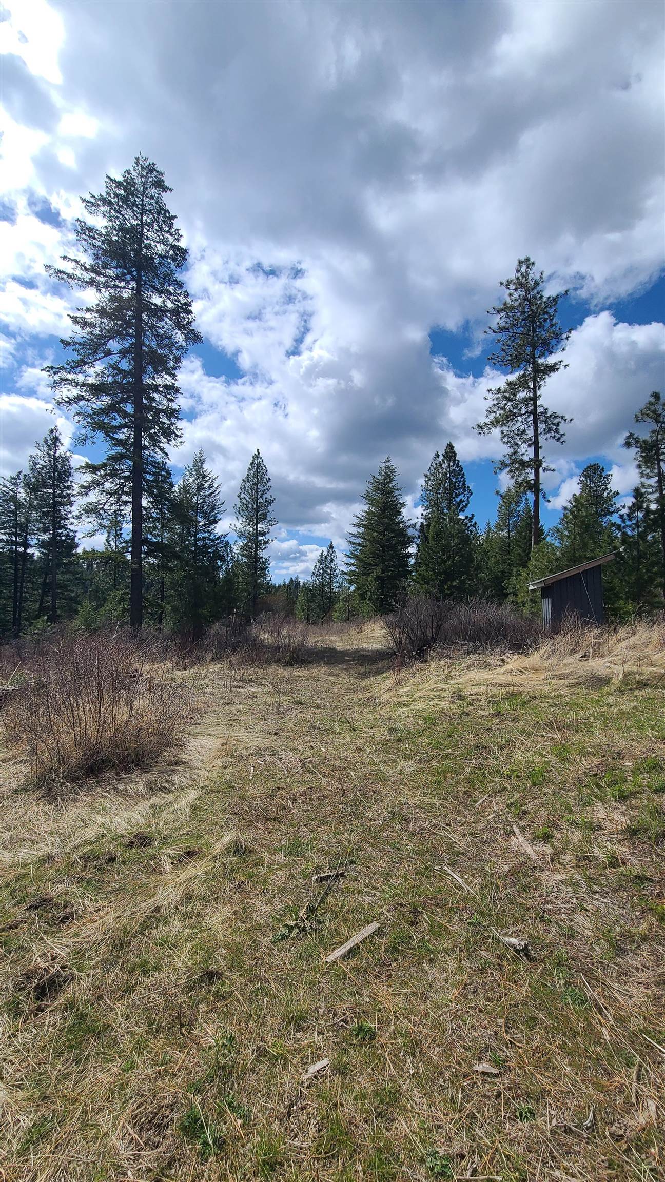 31-xxx North Jackson Road Chattaroy, WA 99003 - Photo 32 of 32