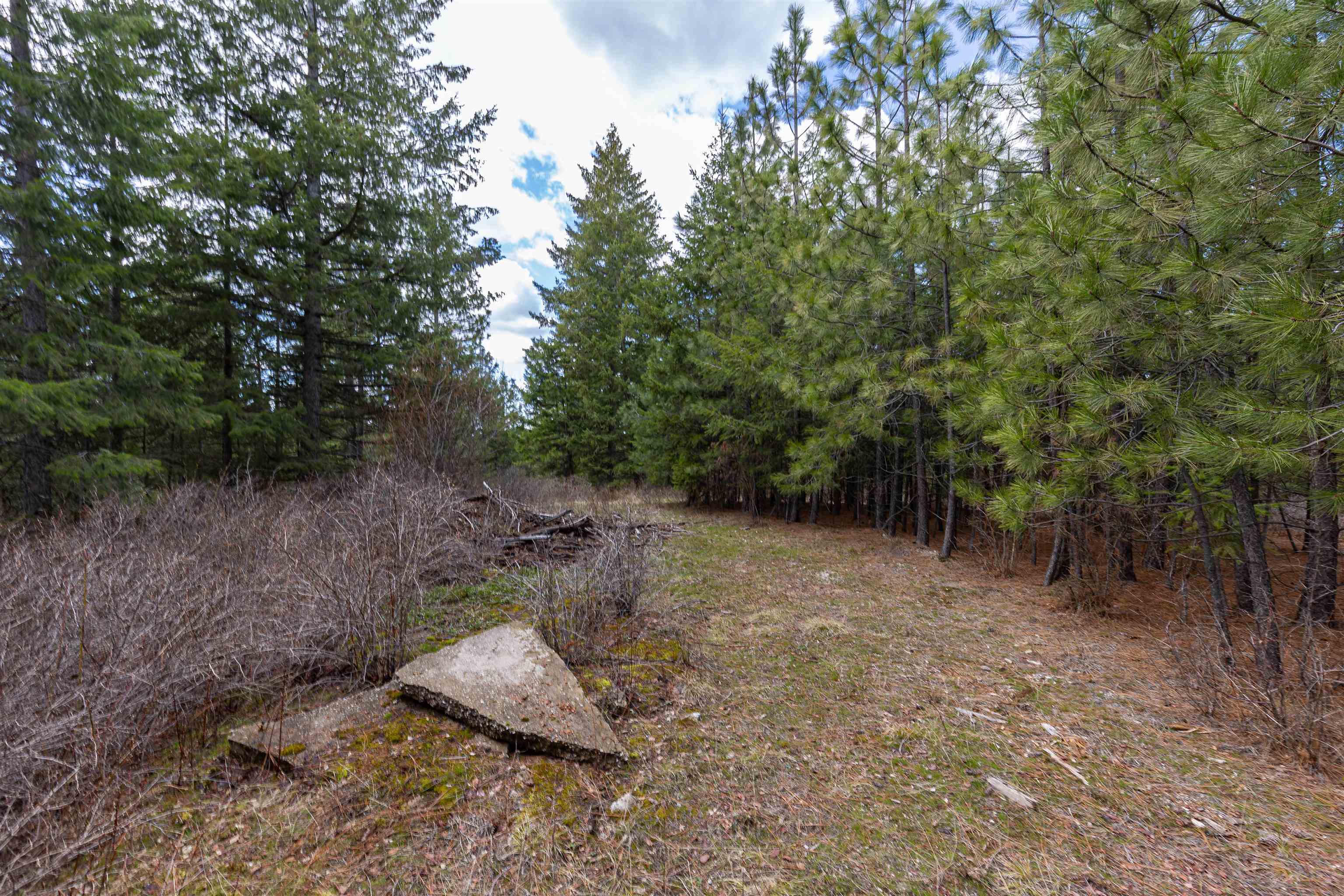 31-xxx North Jackson Road Chattaroy, WA 99003 - Photo 4 of 32