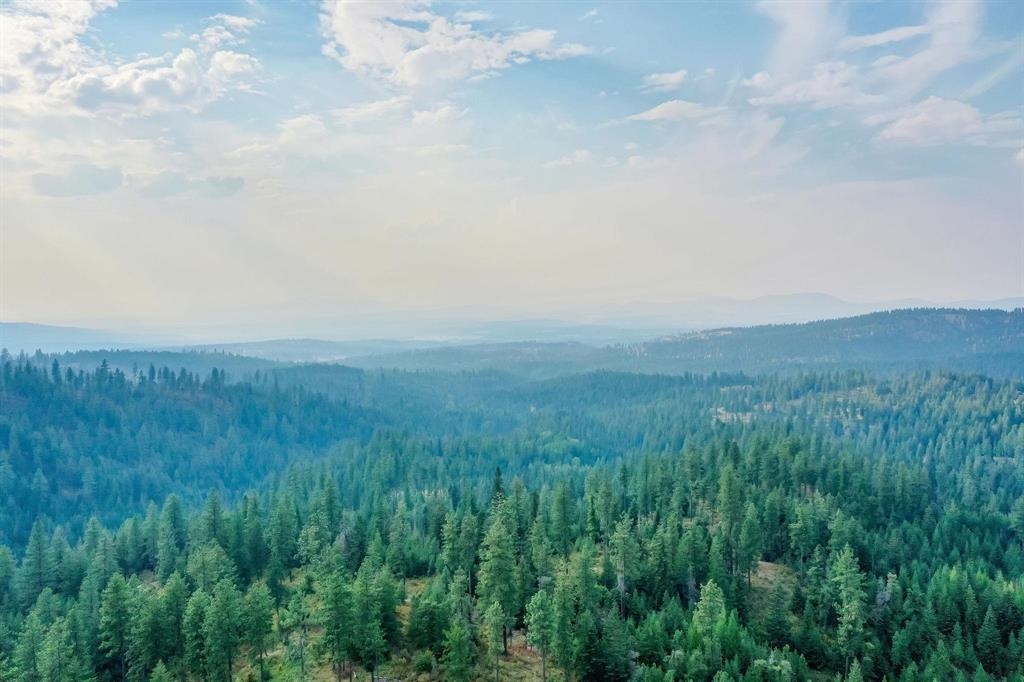 31-xxx North Jackson Road Chattaroy, WA 99003 - Photo 5 of 32