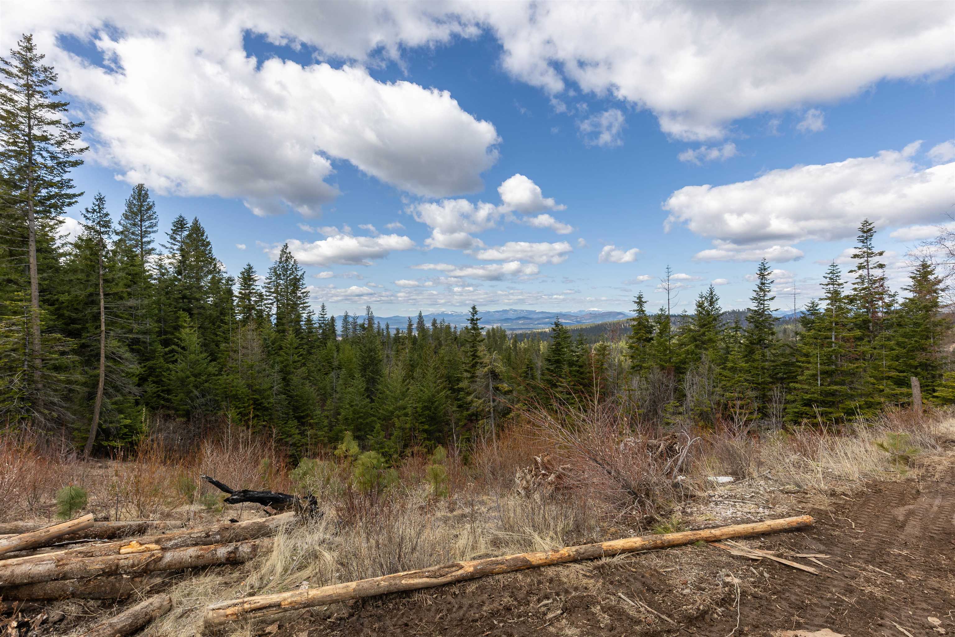 31-xxx North Jackson Road Chattaroy, WA 99003 - Photo 7 of 32