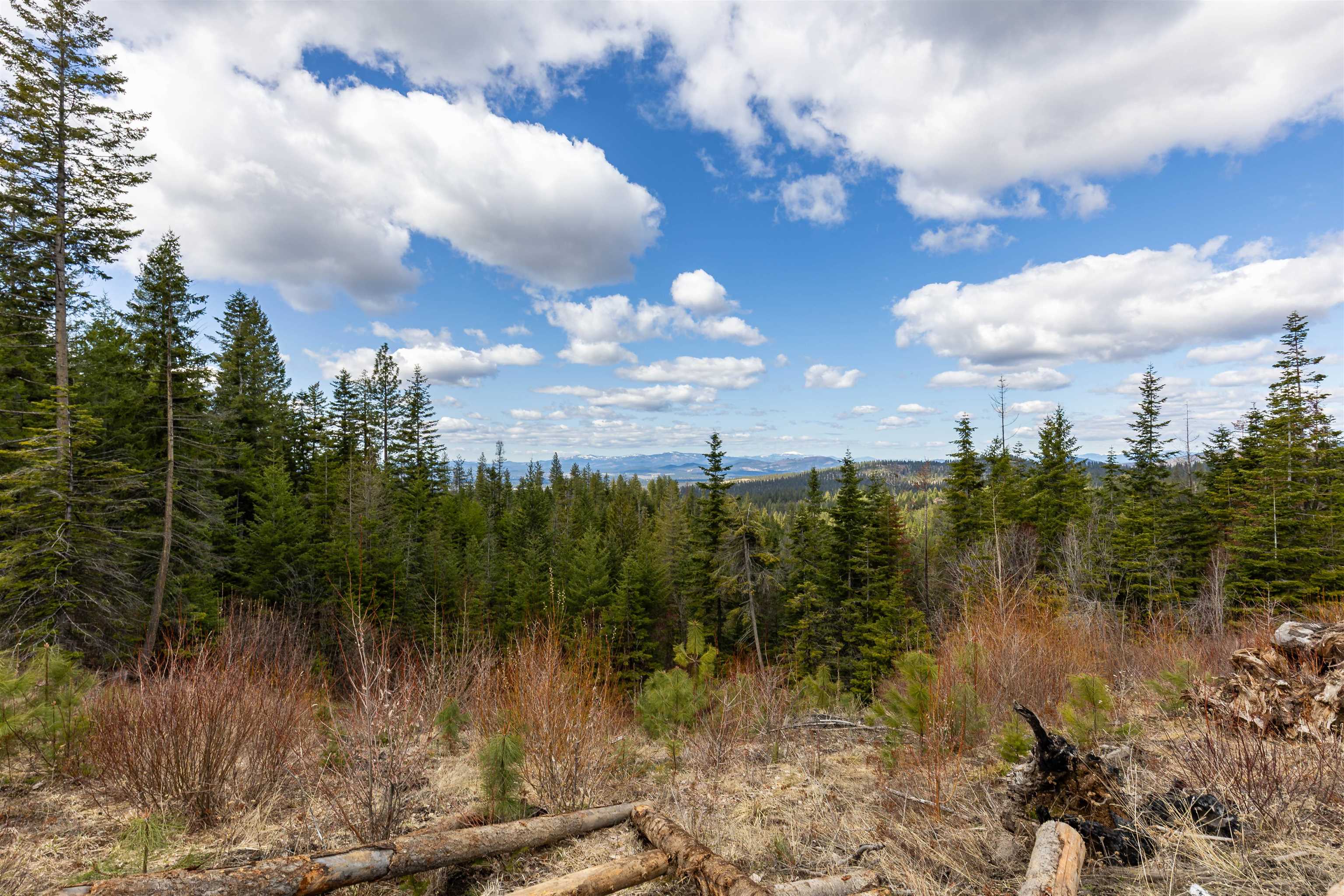 31-xxx North Jackson Road Chattaroy, WA 99003 - Photo 9 of 32