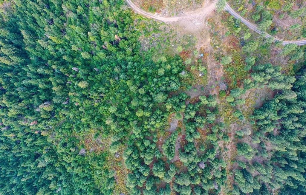 31-xxx North Jackson Road Chattaroy, WA 99003 - Photo 10 of 32