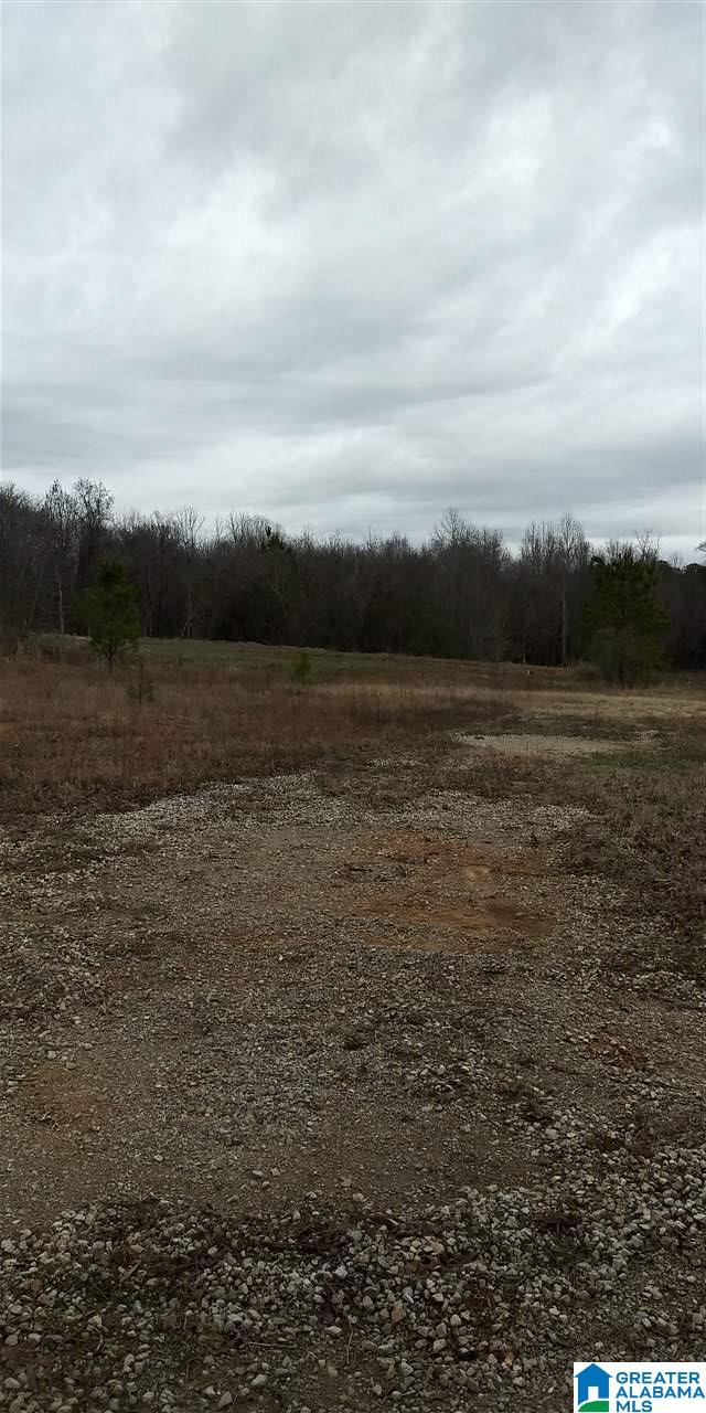 7240 Pocahontas Road, Unit 39 63 ACRES Bessemer, AL 35022 - Photo 4 of 5