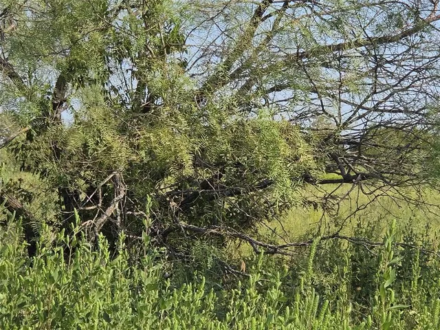 $59,900 | Lot 3 Old Peninsula Trail, Corsicana, TX 75109