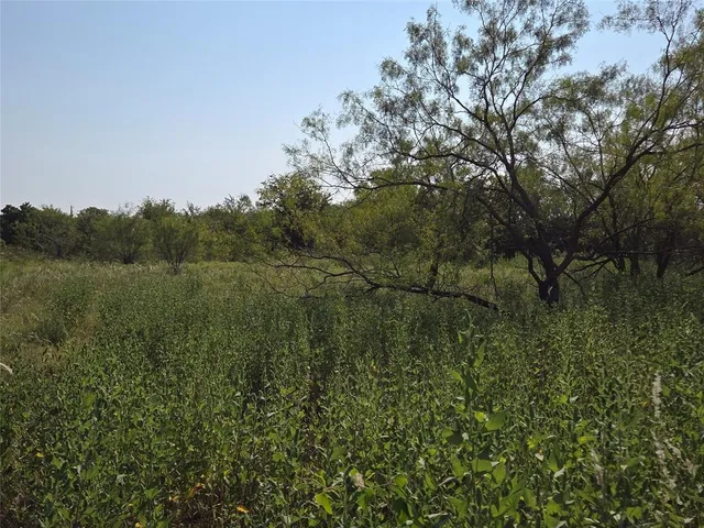 $59,900 | Lot 3 Old Peninsula Trail, Corsicana, TX 75109