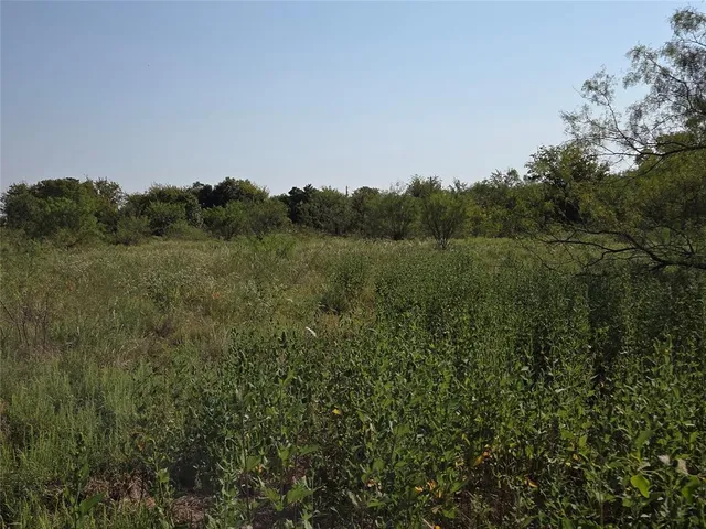 $59,900 | Lot 3 Old Peninsula Trail, Corsicana, TX 75109