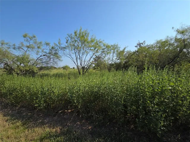$59,900 | Lot 3 Old Peninsula Trail, Corsicana, TX 75109