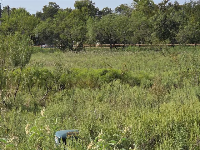 $59,900 | Lot 3 Old Peninsula Trail, Corsicana, TX 75109