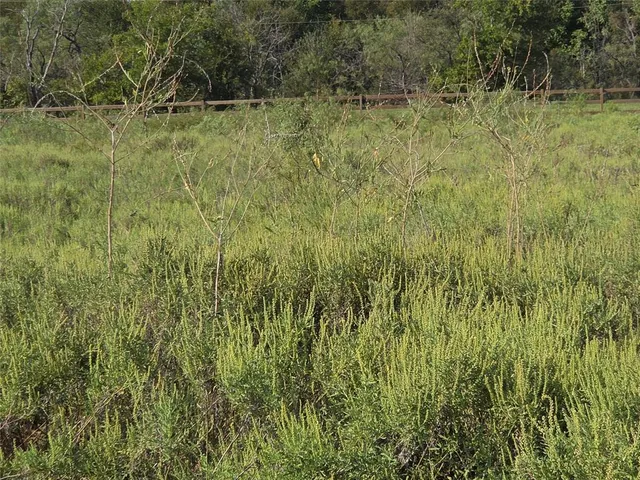 $59,900 | Lot 3 Old Peninsula Trail, Corsicana, TX 75109