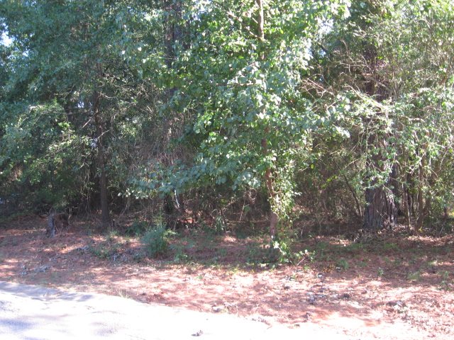 Lot 111 Laurel Ridge Road Anderson, SC 29621 - Photo 1 of 2