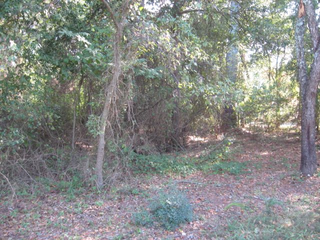 Lot 111 Laurel Ridge Road Anderson, SC 29621 - Photo 2 of 2