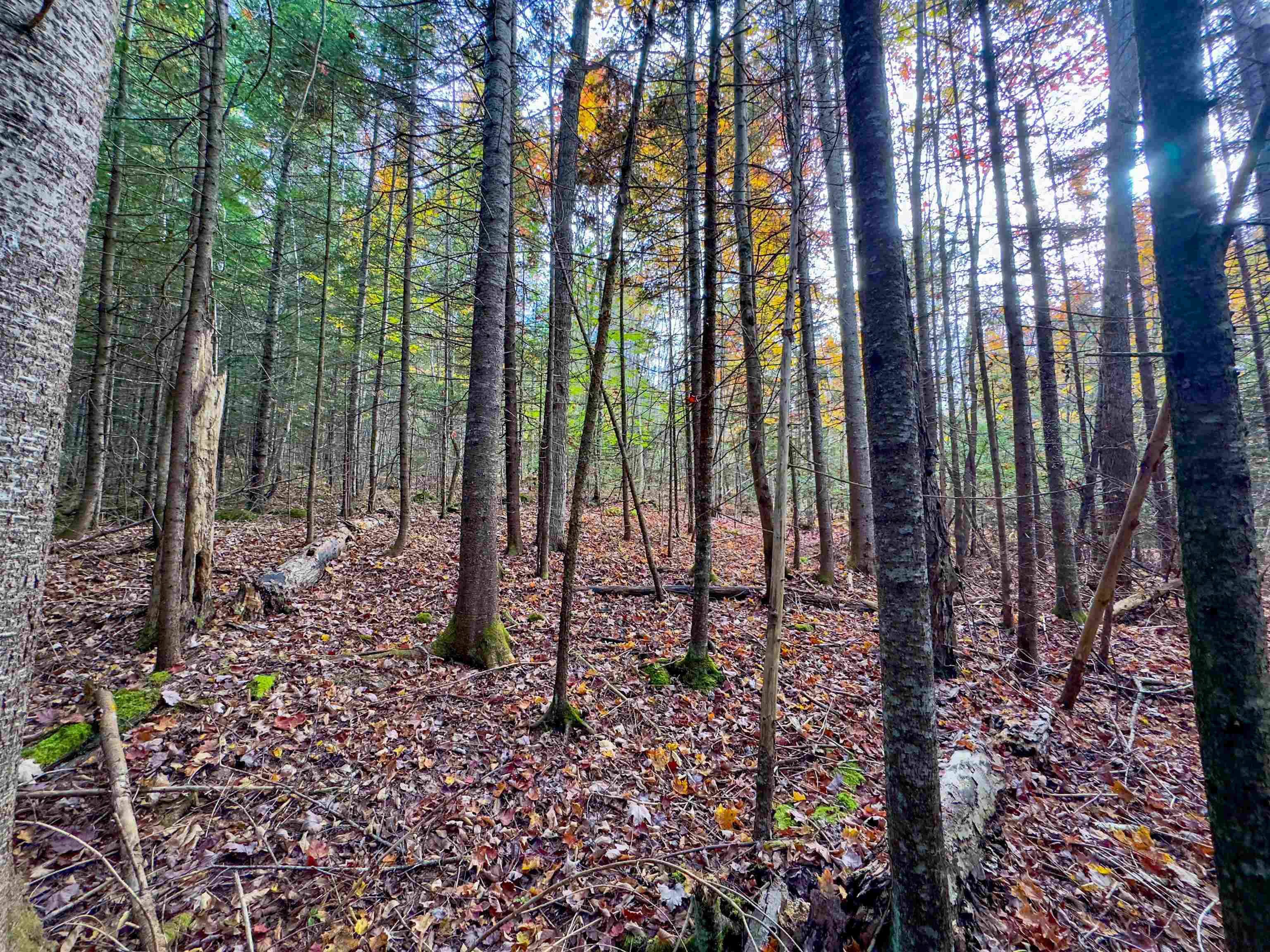 0 West Main Street Lunenburg, VT 05906 - Photo 3 of 15
