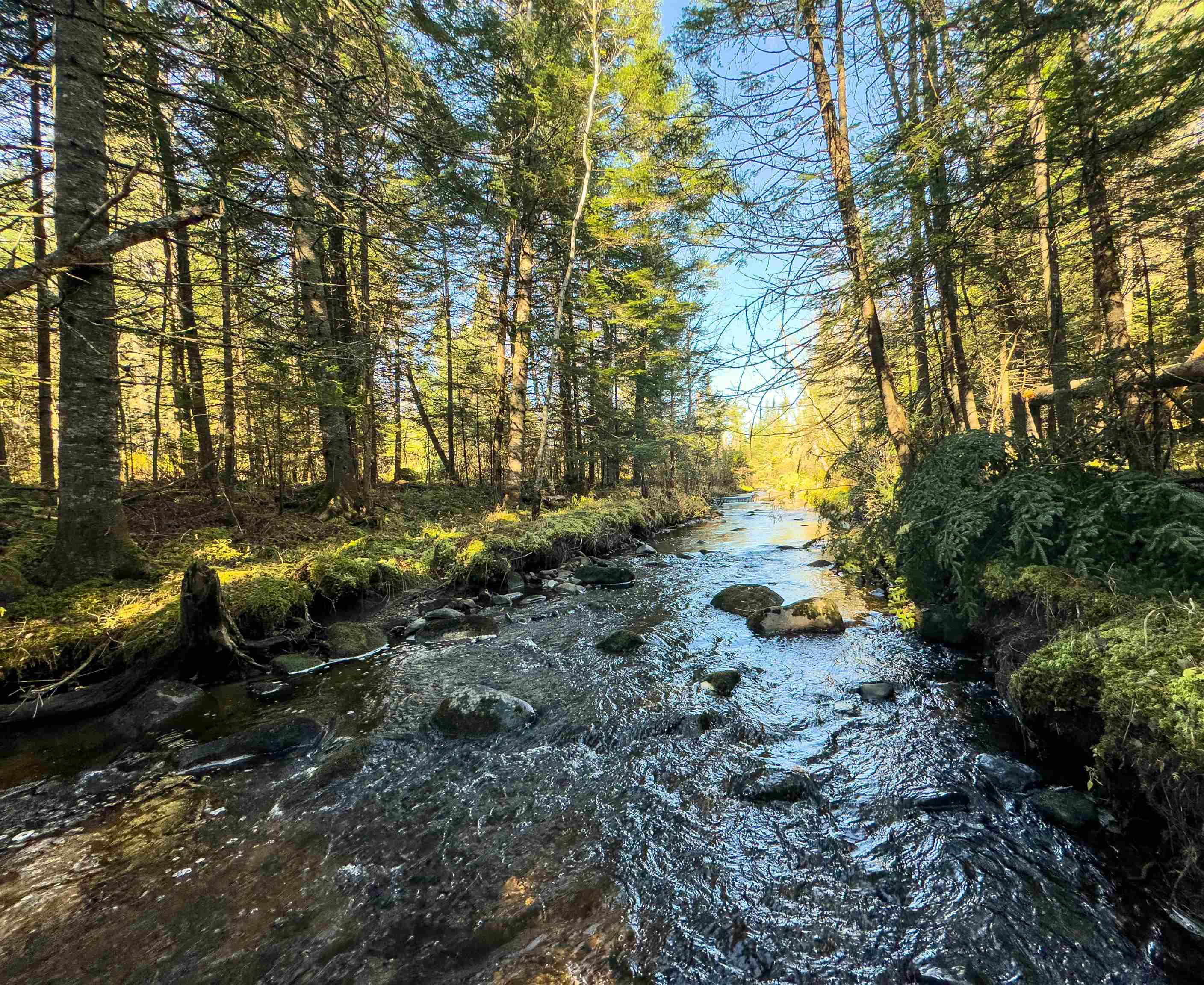 0 West Main Street Lunenburg, VT 05906 - Photo 5 of 15