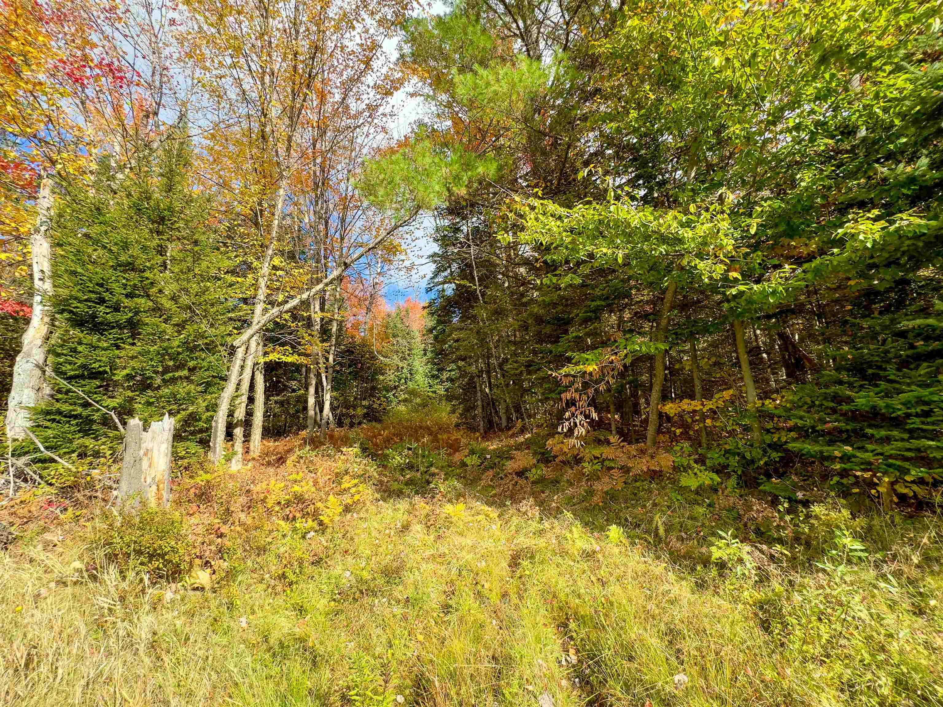 0 West Main Street Lunenburg, VT 05906 - Photo 9 of 15