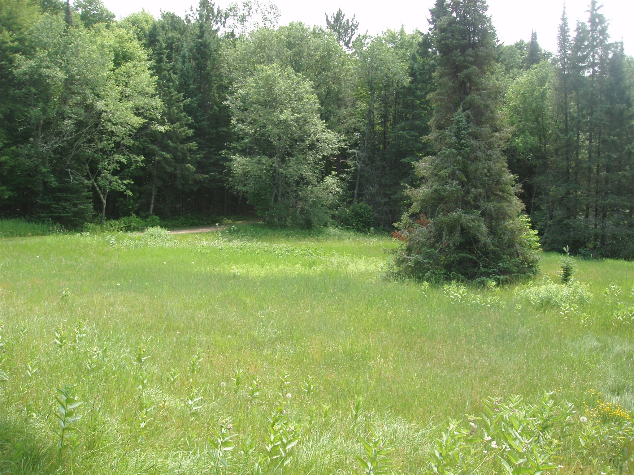 2460 County Hwy FF Butternut, WI 54514 - Photo 23 of 34