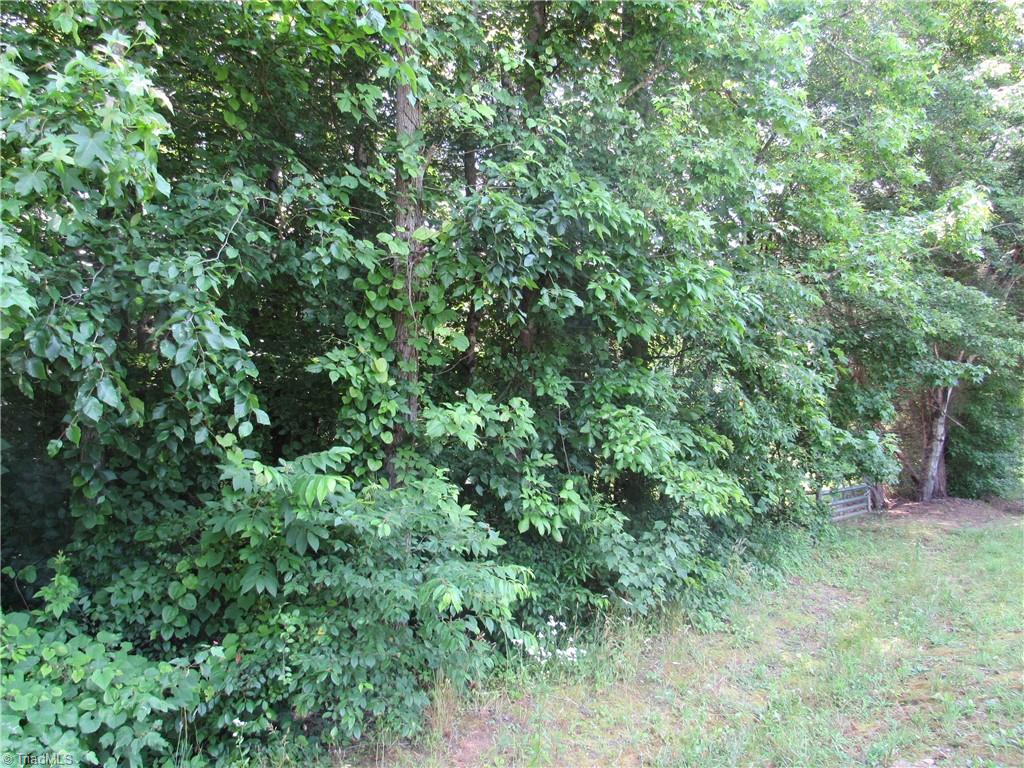 0 Pine Ridge Road Lexington, NC 27295 - Photo 3 of 6 Gallery Image 3