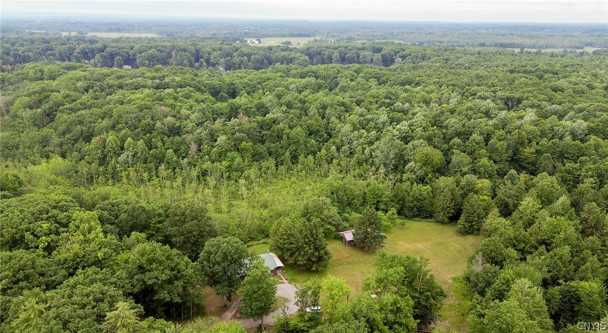 517 County Rte 10 Schroeppel, NY 13132 - Photo 45 of 49