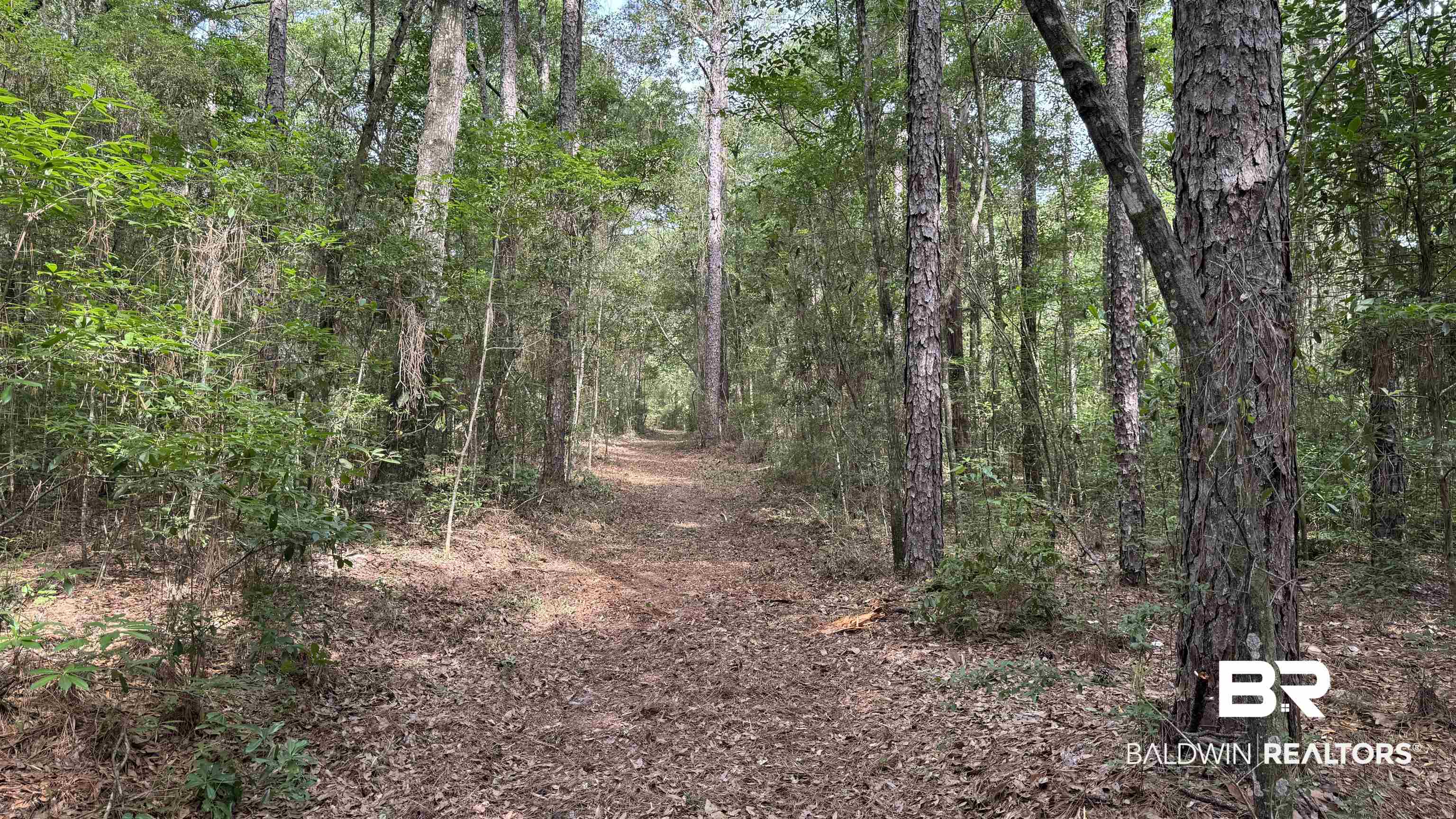 0 US Highway 98 Semmes, AL 36575 - Photo 8 of 24