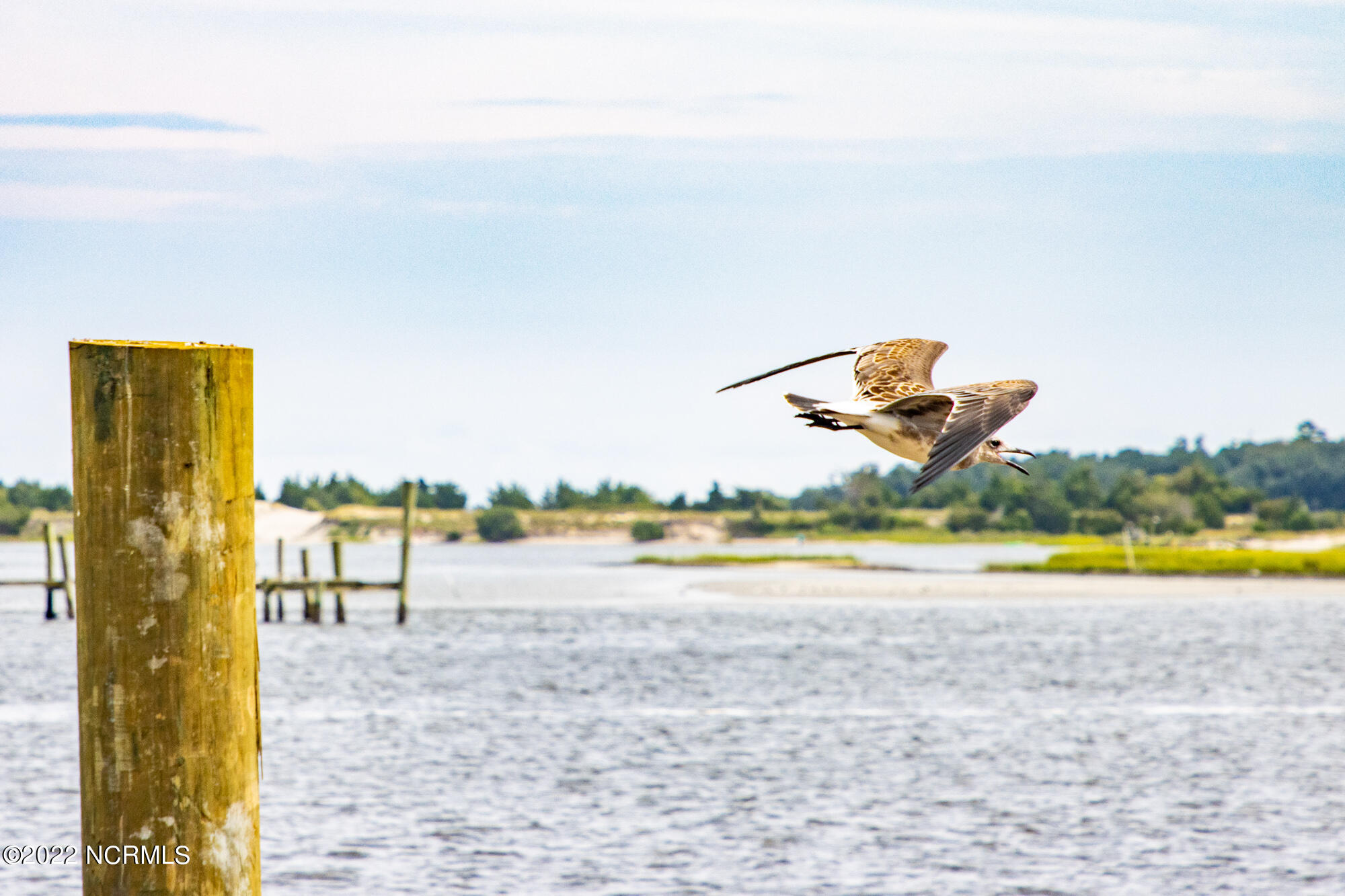N/a Parkertown Road Hubert, NC 28539 - Photo 12 of 12 N/A Parkertown Road, Hubert, NC 28539