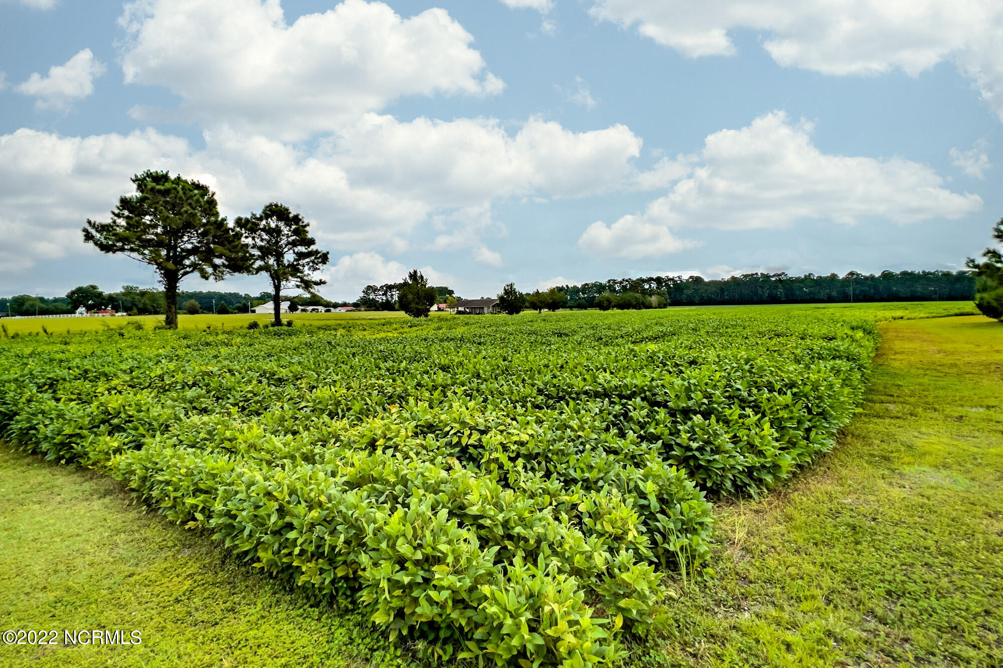 N/a Parkertown Road Hubert, NC 28539 - Photo 3 of 12 N/A Parkertown Road, Hubert, NC 28539