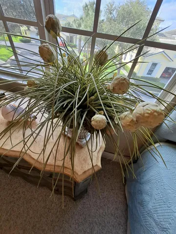 a view of outdoor space with seating area