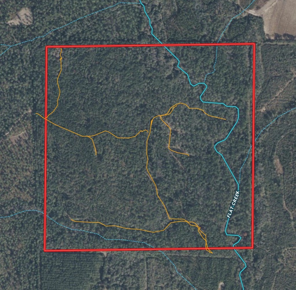 165-acres Harrison Road Kinston, AL 36453 - Photo 24 of 26