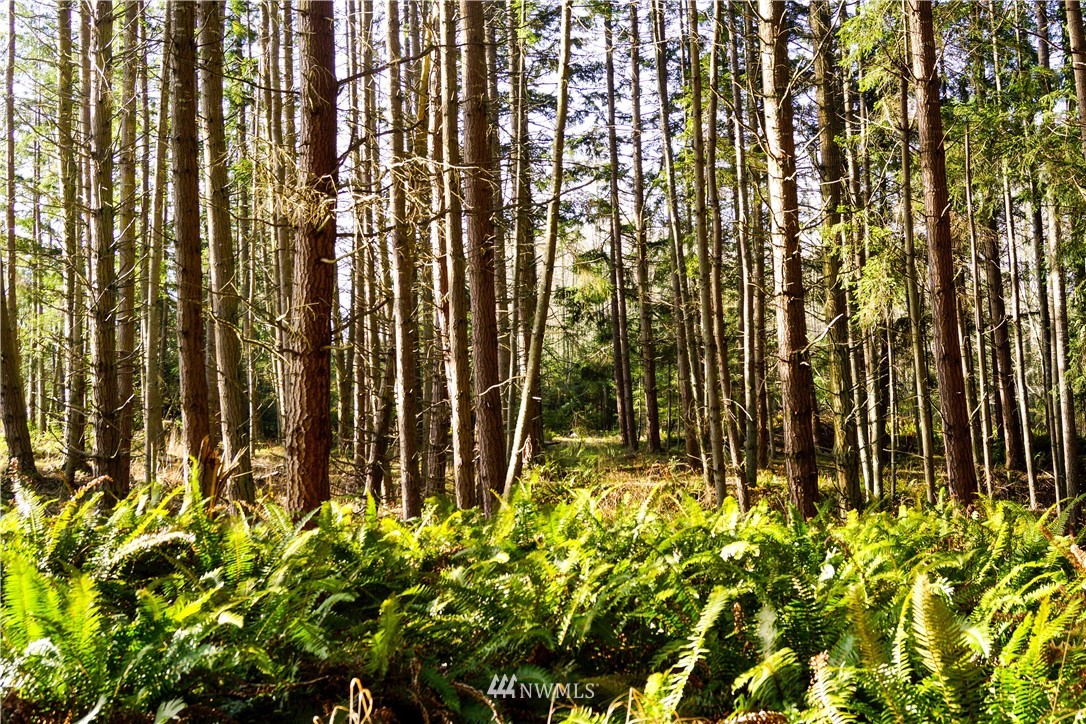 889 Resort Road Greenbank, WA 98253 - Photo 12 of 24 Gallery Image 12