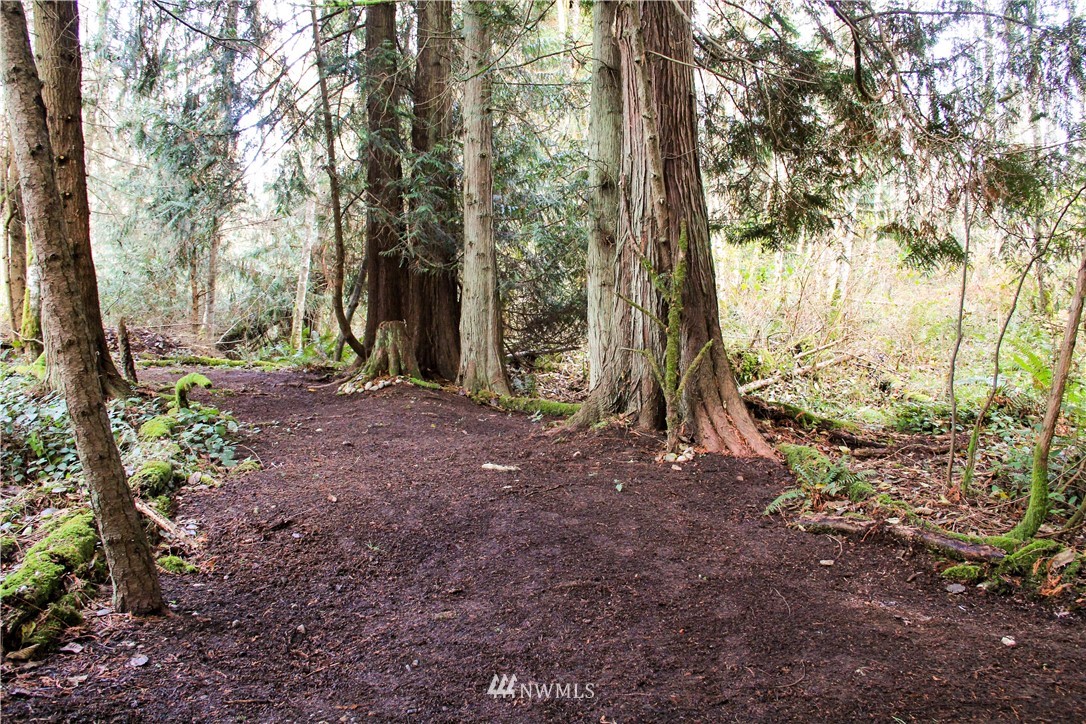 889 Resort Road Greenbank, WA 98253 - Photo 20 of 24 Gallery Image 20