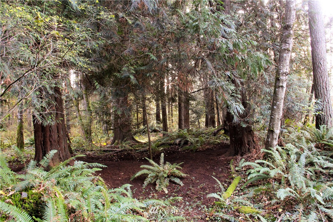 889 Resort Road Greenbank, WA 98253 - Photo 21 of 24 Gallery Image 21