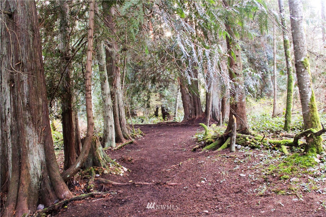 889 Resort Road Greenbank, WA 98253 - Photo 23 of 24 Gallery Image 23