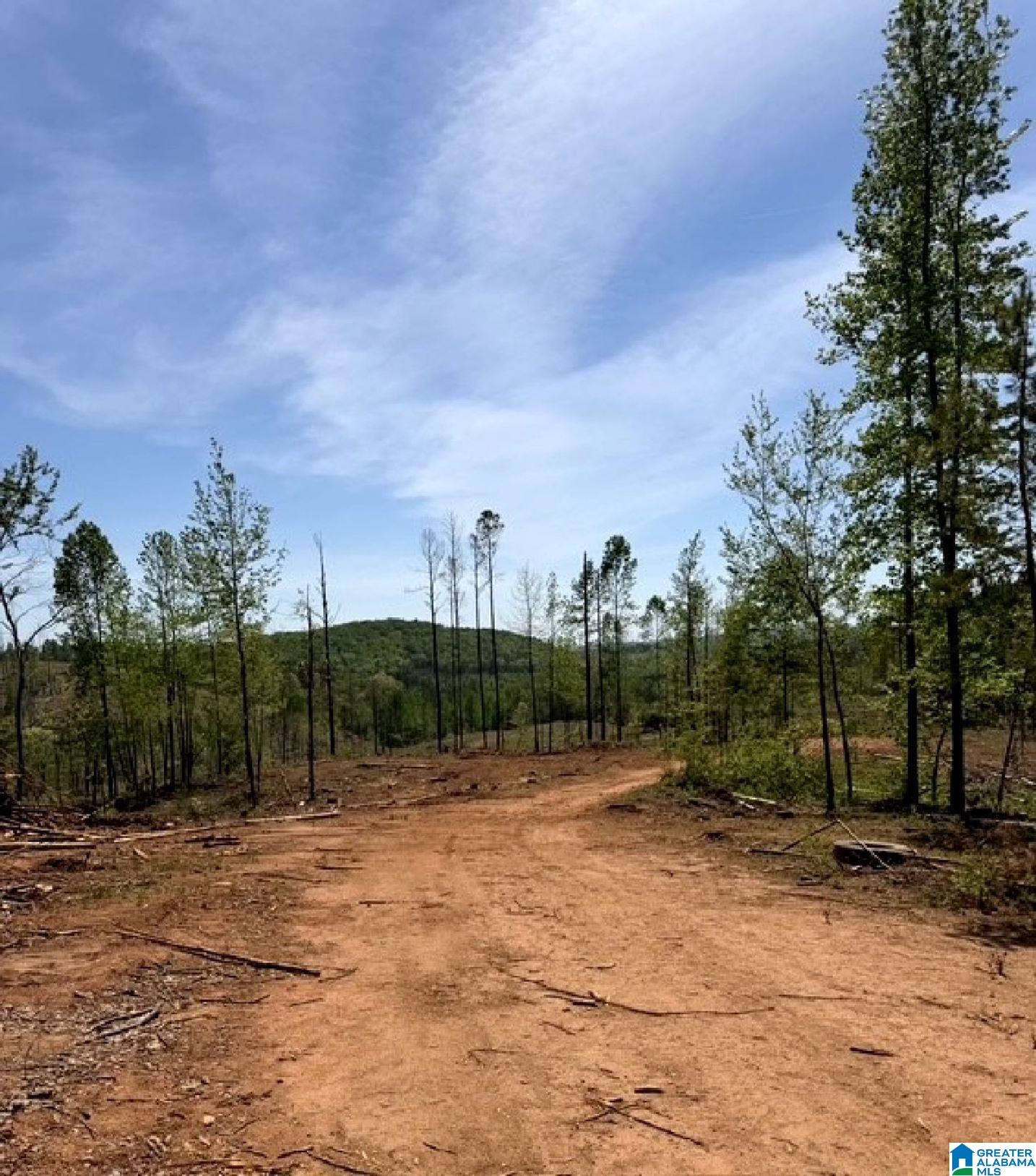 Mines Road, Unit 218 Talladega, AL 35160 - Photo 17 of 21 Gallery Image 17