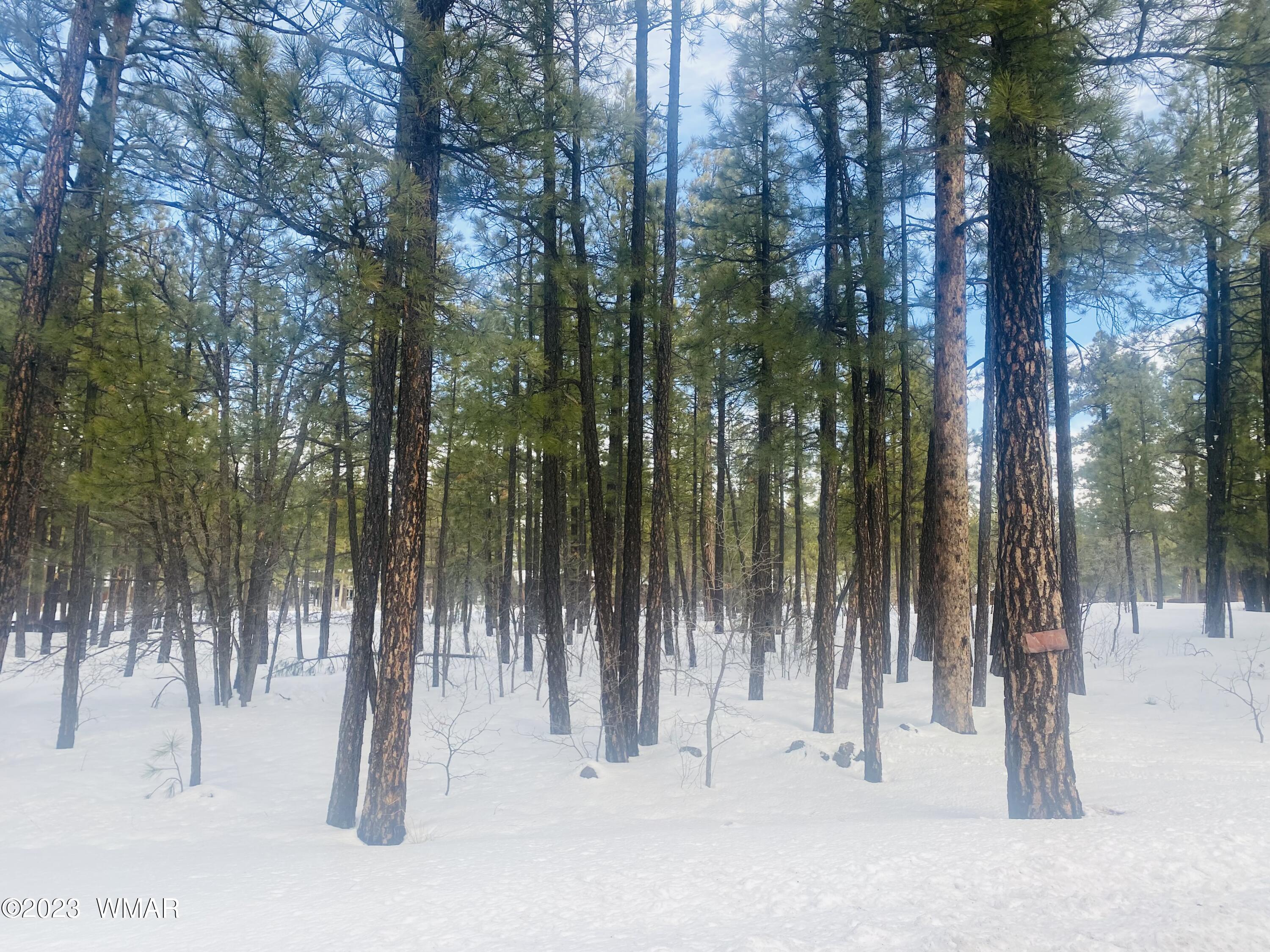 6934 White Oak Road Pinetop, AZ 85935 - Photo 1 of 9 Gallery Image 1