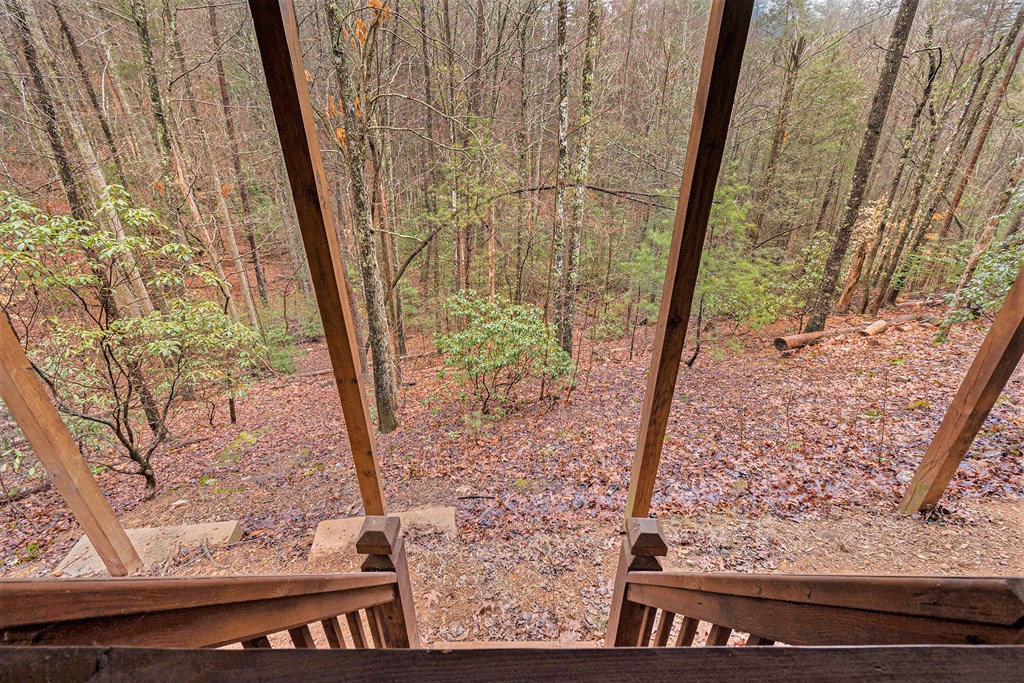 77 Brittany Lane Blue Ridge, GA 30513 - Photo 35 of 38 Gallery Image 35