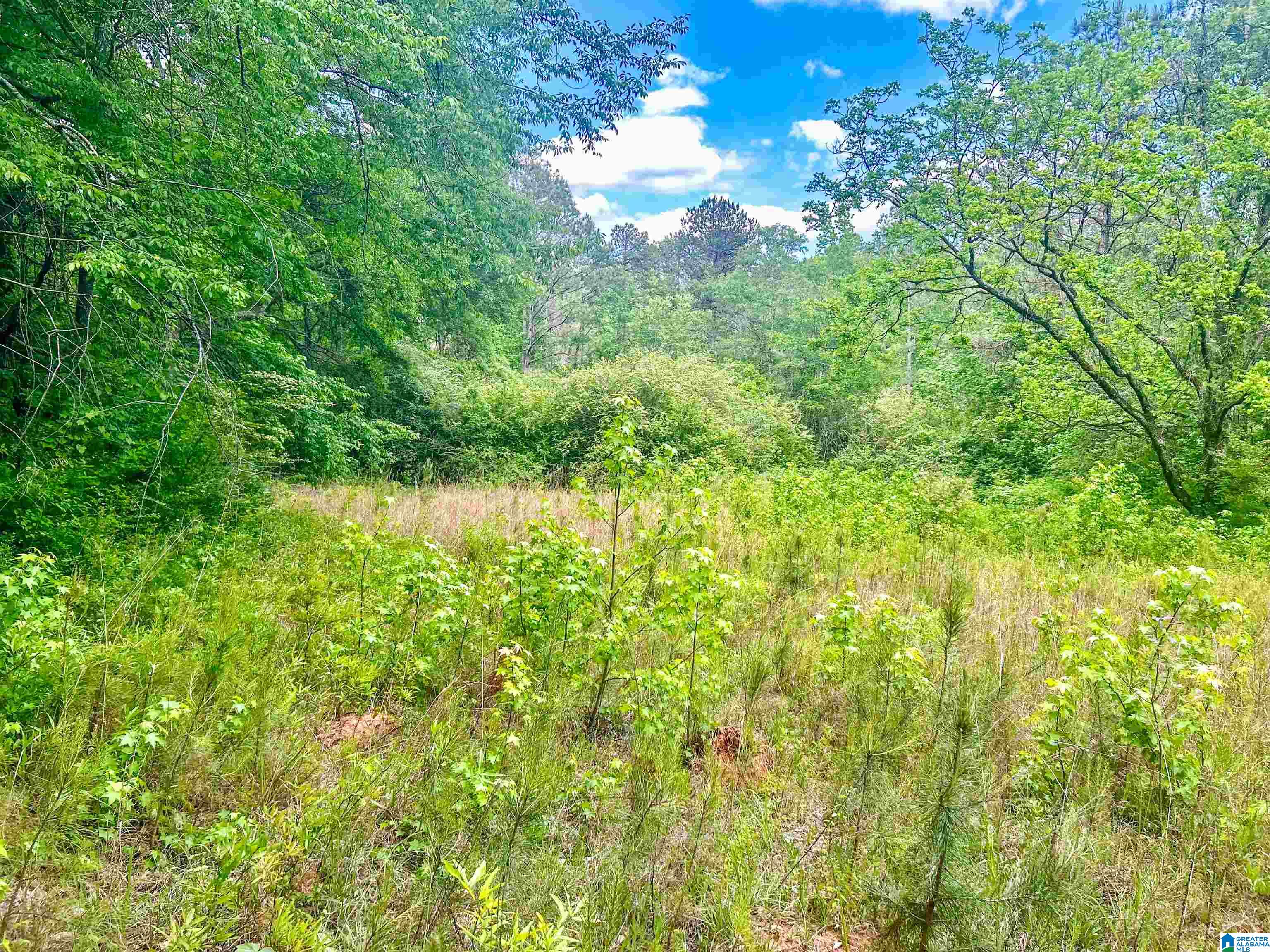 1 Old Mill Road Goodwater, AL 35072 - Photo 20 of 22