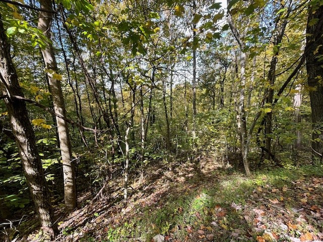 Lot 73 Hidden Treasure Murphy, NC 28906 - Photo 23 of 26