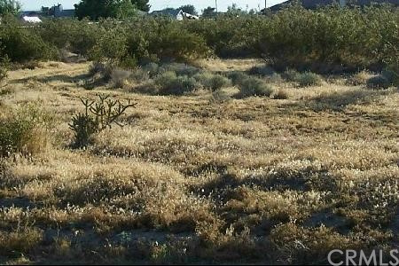 Hawthorne Road Hesperia, CA 00000 - Photo 1 of 1