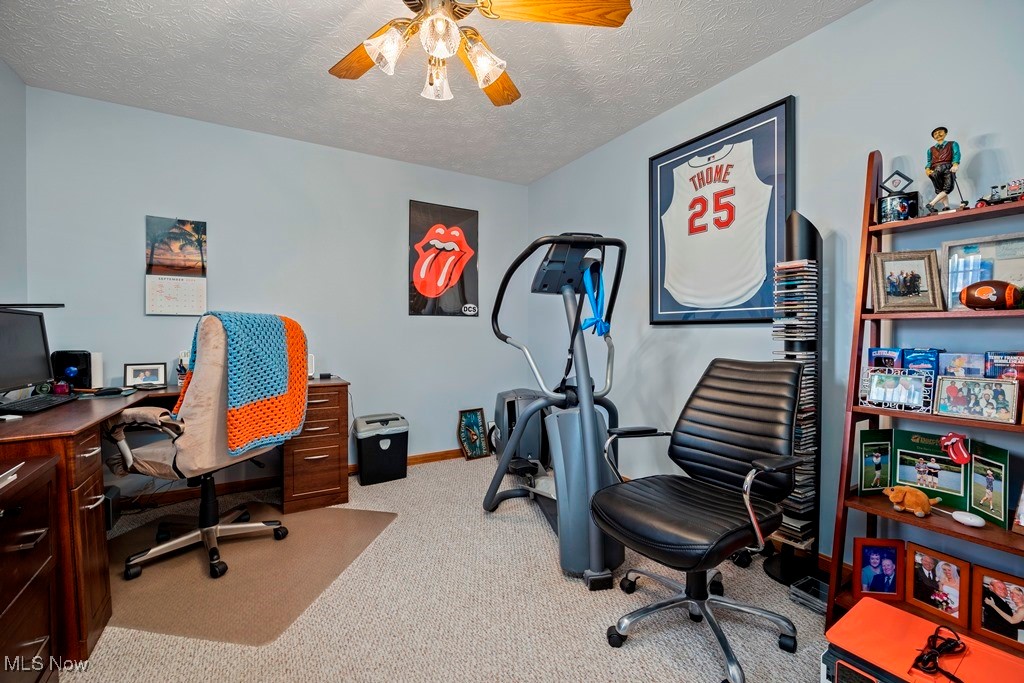 17183 Wheeler Road Lagrange, OH 44050 - Photo 29 of 50 Gallery Image 29
