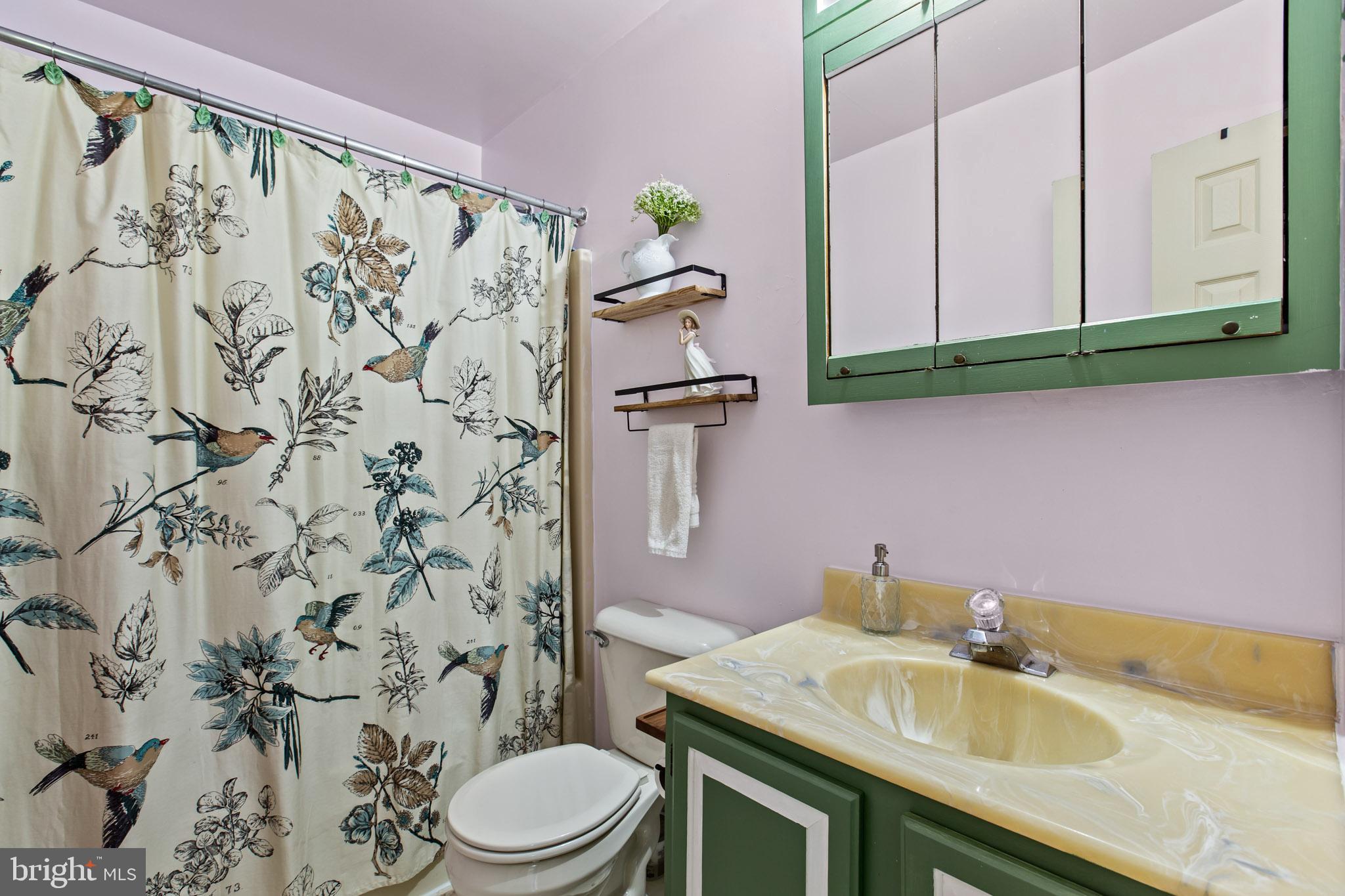 667 San Gabriel Road Lusby, MD 20657 - Photo 23 of 30 Upper level hall bathroom