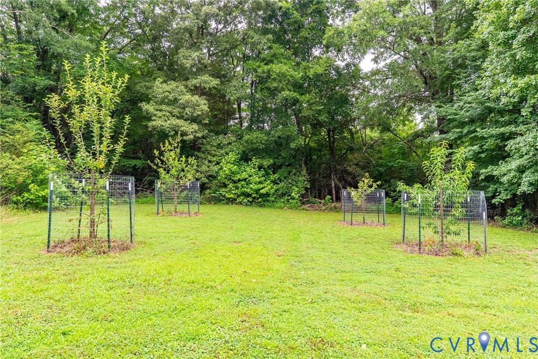 803 Germantown Road Farmville, VA 23901 - Photo 54 of 61 Grassy expanse featuring four young trees enclosed